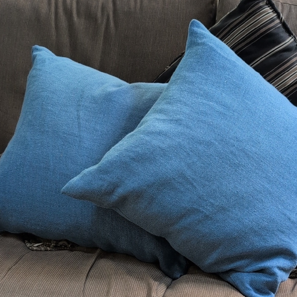 Serena & Lily Sky Blue Textured Pillows With Inserts (2)